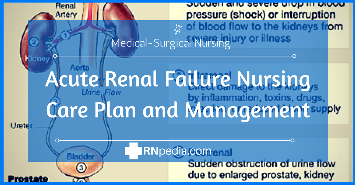 Acute Renal Failure Nursing Care Plan Management RNpedia