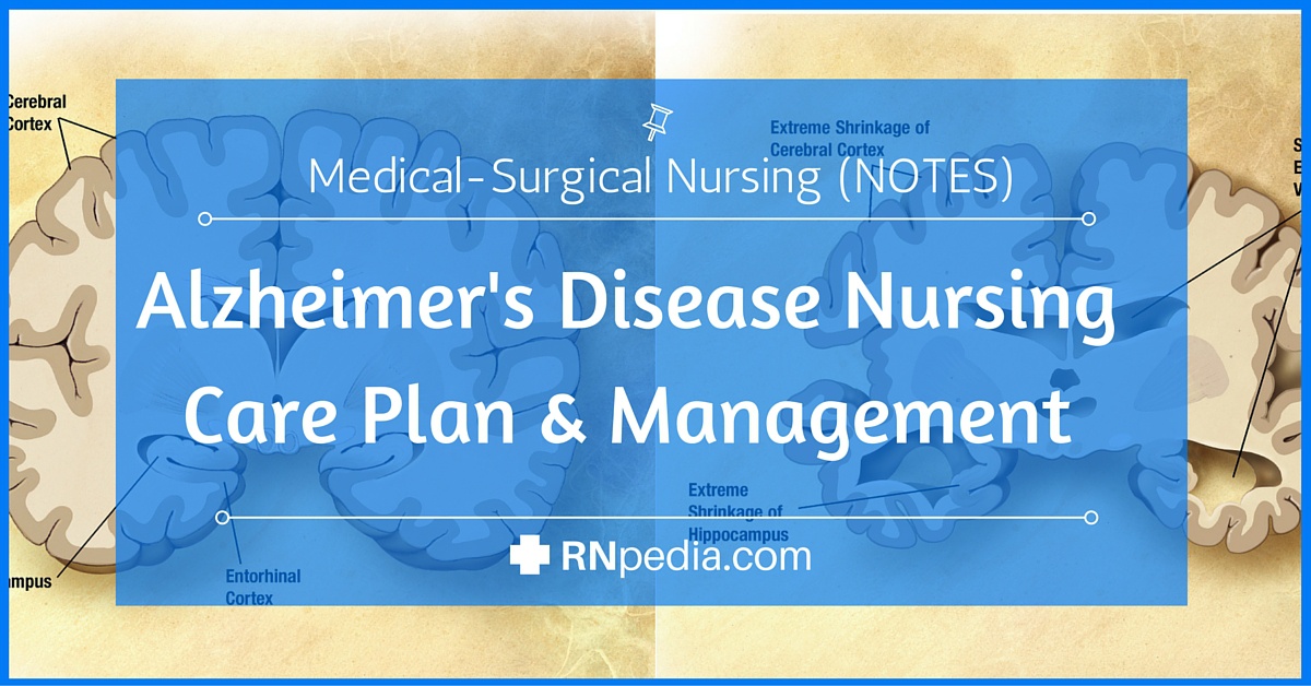 Alzheimer S Disease Nursing Care Plan Management Rnpe - vrogue.co