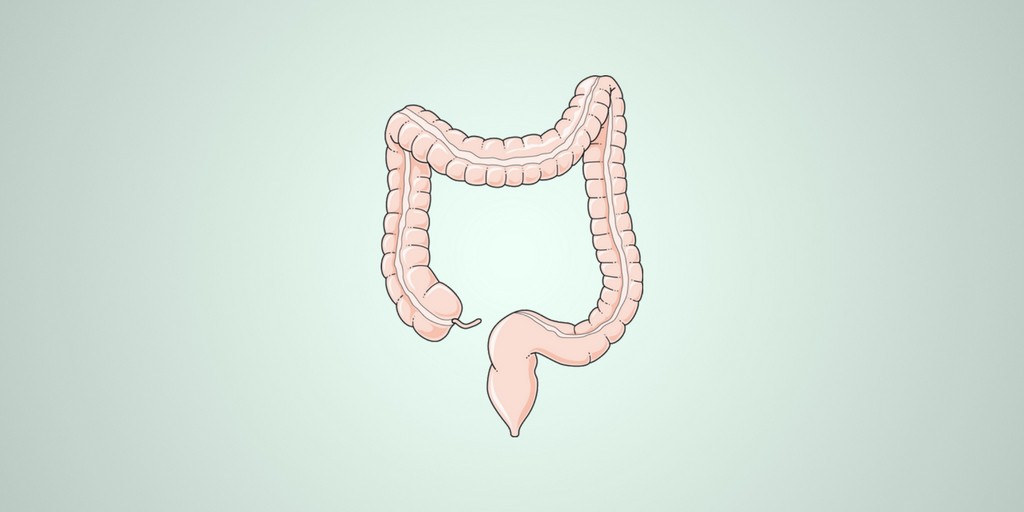 bowel-elimination-rnpedia