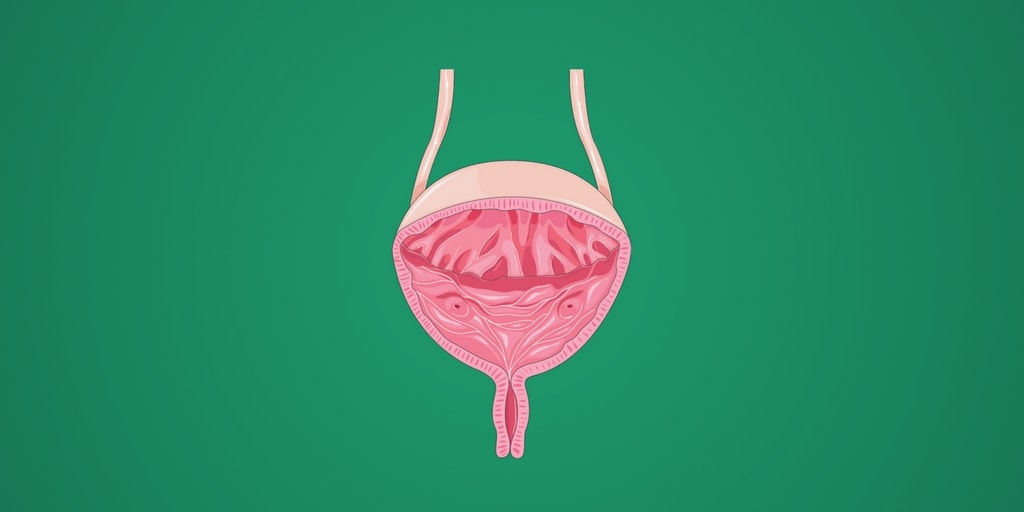 urinary-elimination-rnpedia