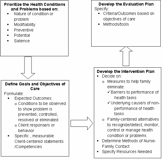 Family Nursing Care Plan FNCP RNpedia